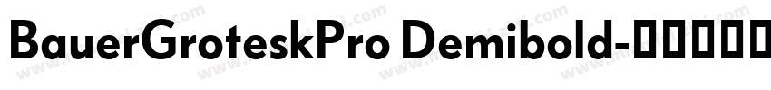 BauerGroteskPro Demibold字体转换